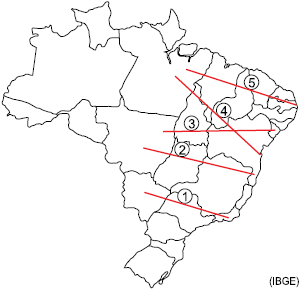 Enunciado 2967010-2