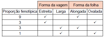Enunciado 3449604-1