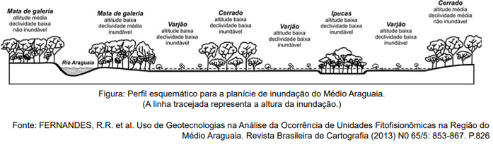Enunciado 3145901-1
