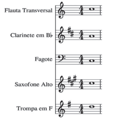 Enunciado 4623998-1