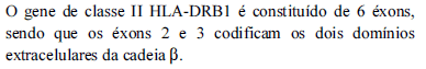 Enunciado 3424667-1